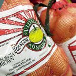 Storage Vidalia Onion Storage A mesh bag filled with brown onions displays a label that reads "Vidalia" and "Genuine Georgia Brown Onions." The onions are partially visible through the red and white mesh.